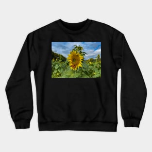 Orange Butterfly and Sunflower Crewneck Sweatshirt